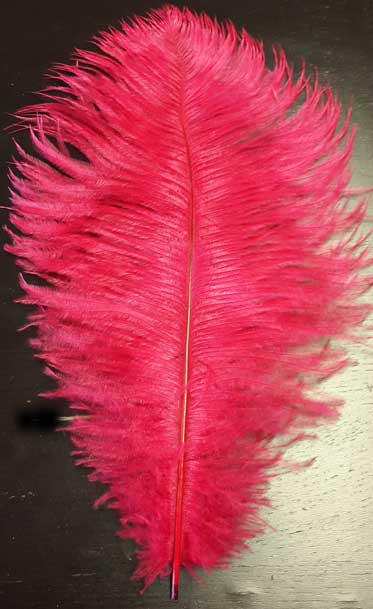 Fuchsia ostrich feathers for rent