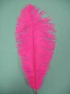 Hot Pink ostrich feathers for rent