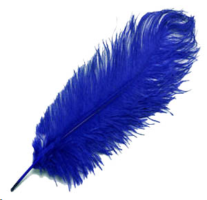 Royal Blue ostrich feathers for rent