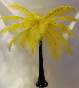 20 feather arrangement