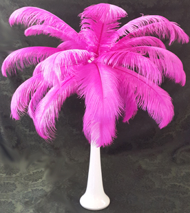 25 feather arrangement