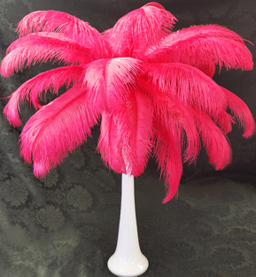 30 feather arrangement
