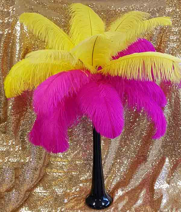 yellow and fuchia ostrich feathers