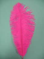 hot pink ostrich feathers