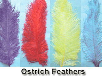 cheap feathers