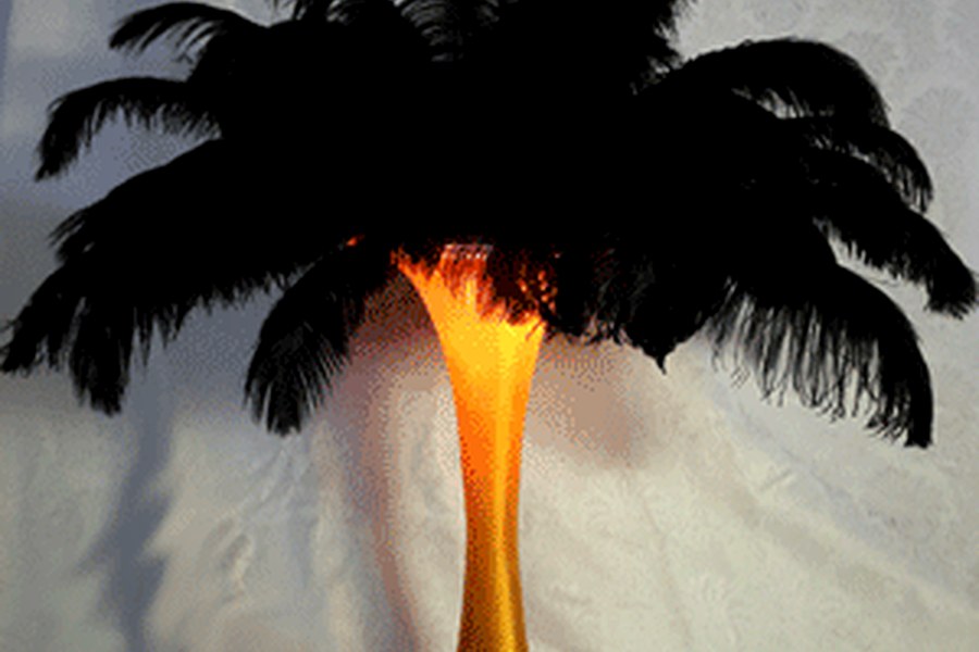 Black feather event table