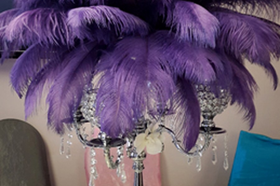 Purple lighting feather decor
